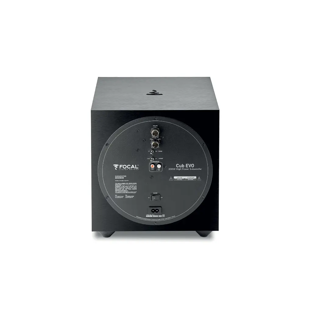 Focal Cub Evo 4.webp