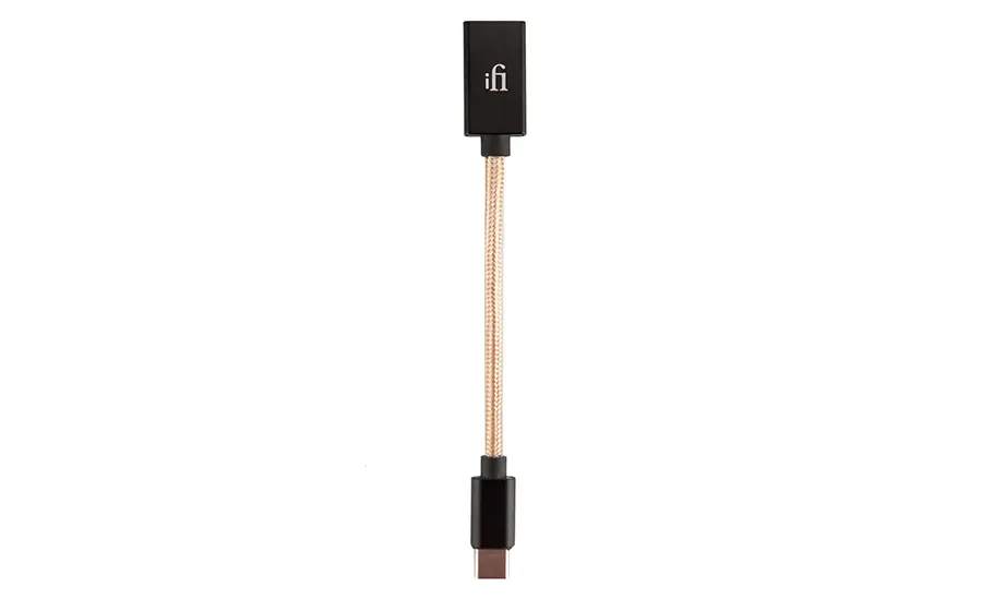 IFI Audio OTG USB C