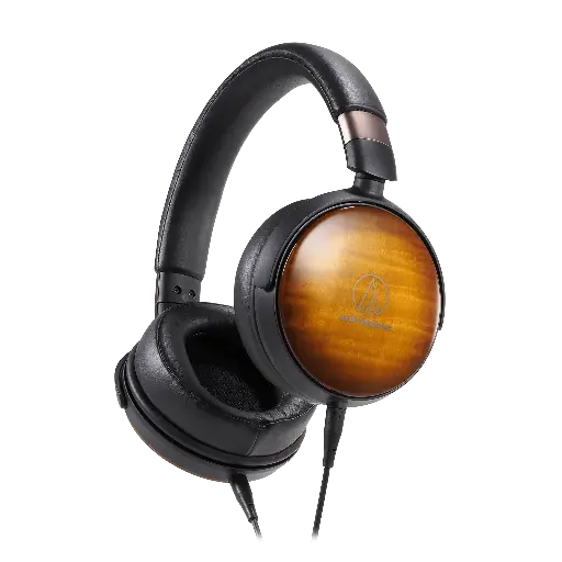 Audio-Technica ATH-WP900