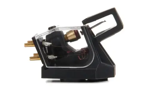 REGA ANIA MC