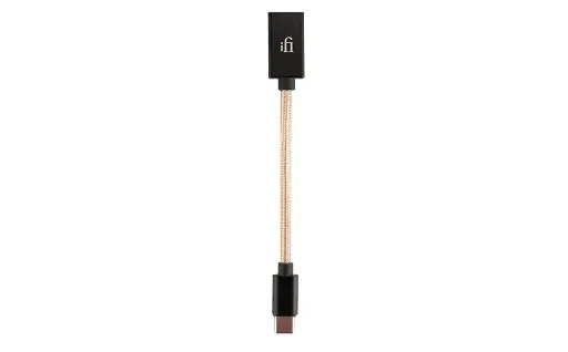 IFI Audio OTG USB C