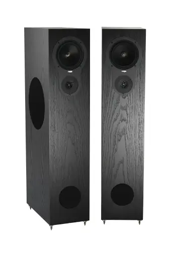 REGA RX5
